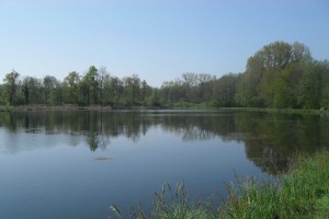 vue-etang-chateau