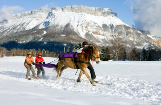 ski-cheval-montagne