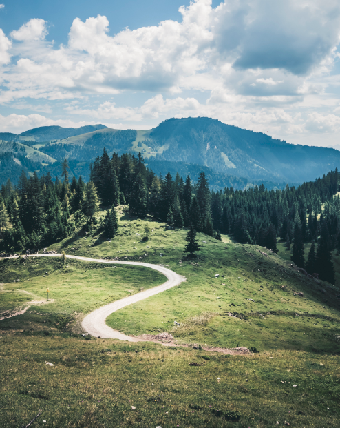 Sentier de montagne avec paysages verts autour